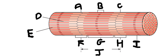 <p>What is J on the diagram?</p>