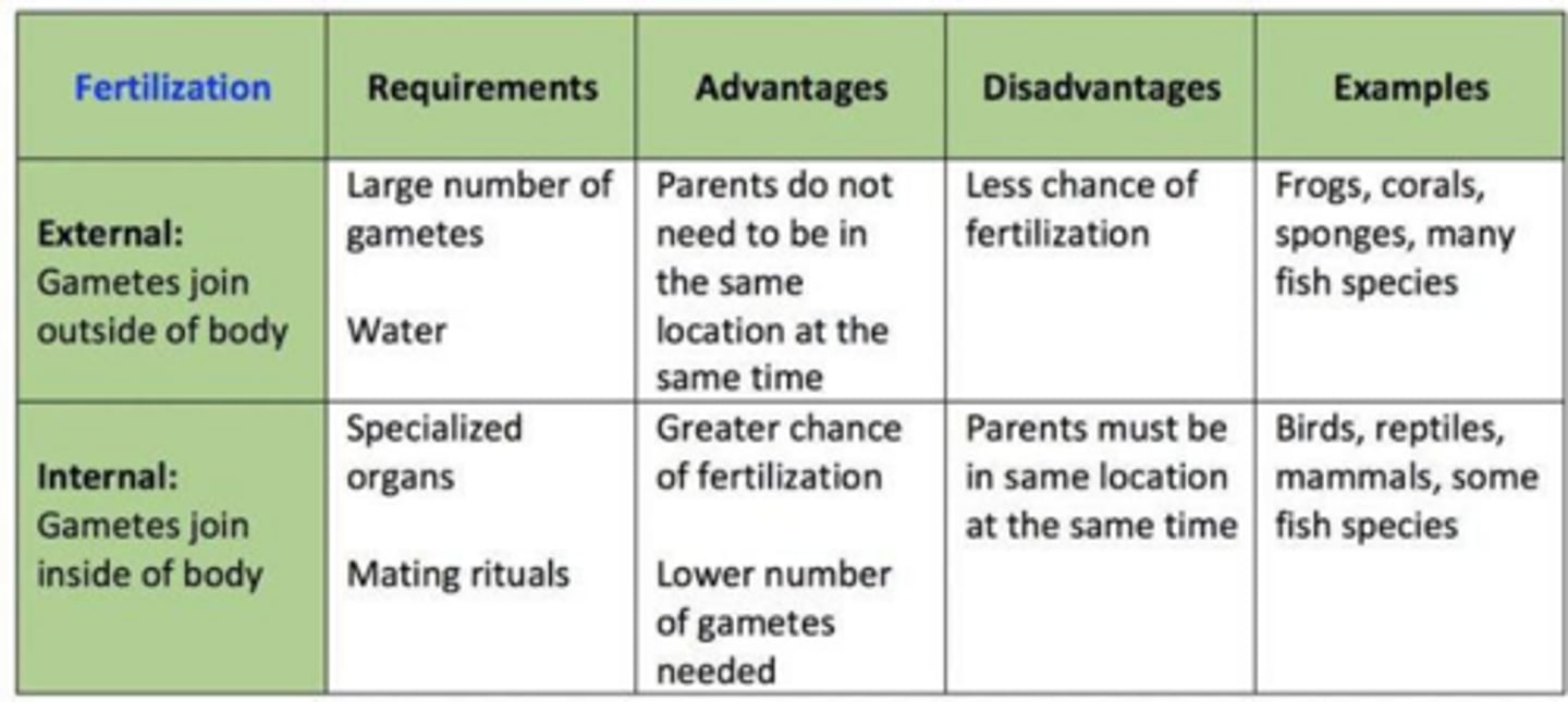 <p>Internal fertilization occurs within the female reproductive tract, while external fertilization involves fertilization in the external environment.</p>