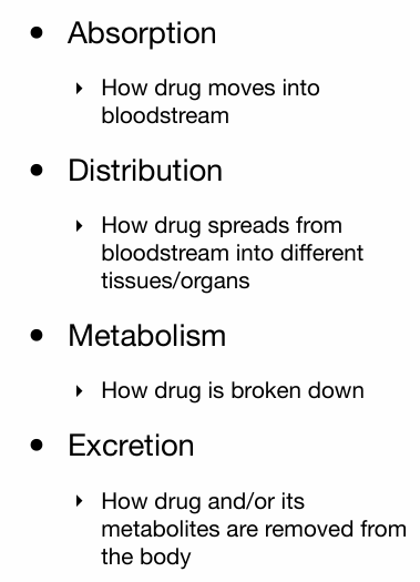 <p>What the body does to the drug</p>