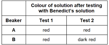 <p><span>One beaker contained maltose solution and the other beaker contains glucose solution. Both solutions have the same concentration.</span></p><p><span>Explain the results for beakers A and B in the table</span></p><p>Test 1 – used Benedict’s solution to test for reducing sugar.</p><p>Test 2 – added the enzyme maltase, heated the mixture at 30 °C for 5 minutes, and then used Benedict’s solution to test for reducing sugar.</p>