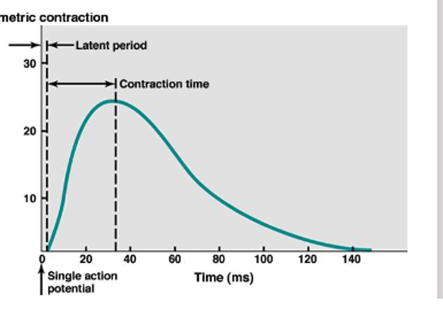 <p>Latent and Contraction period</p>
