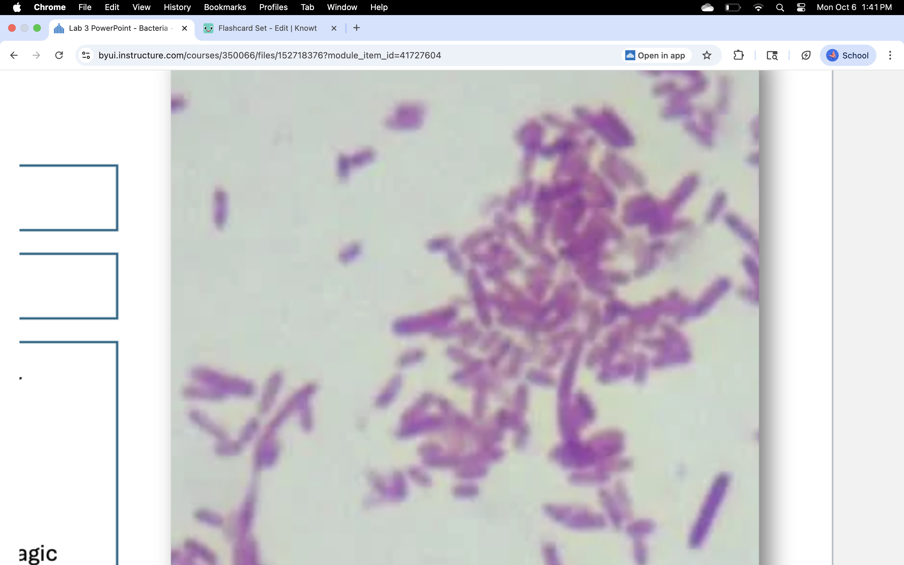 knowt flashcard image