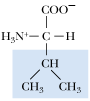 <p>What amino acid is this</p>