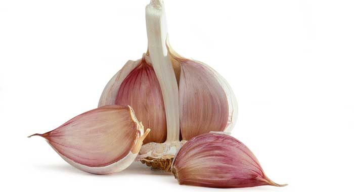 <p>Ajo</p>