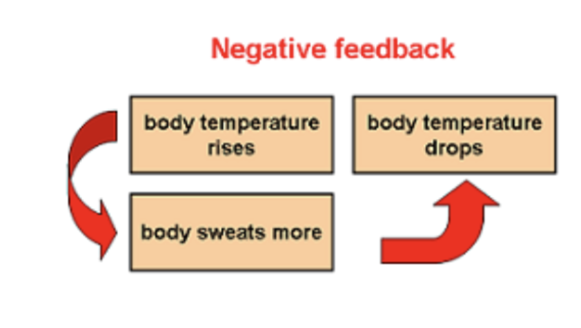 <p>Change in a given direction causes change in OPPOSITE direction.</p>