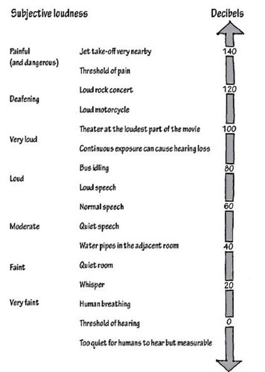 <p>A unit for expressing the relative pressure or intensity of sounds on a uniform scale.</p>