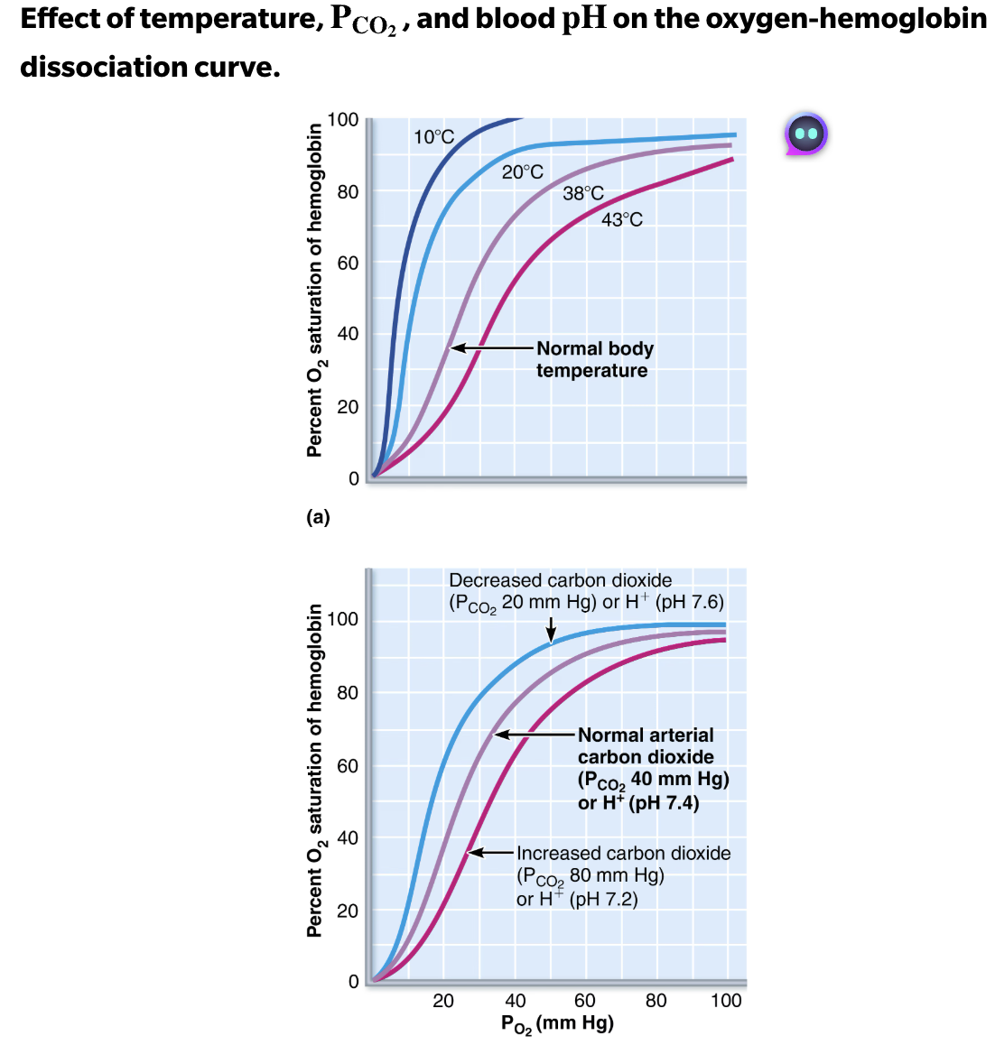 <p><strong><em>ALL</em></strong><em> of these factors influence </em><strong><em>Hb saturation</em></strong><em> by modifying hemoglobin’s three-dimensional structure, thereby changing its affinity for <span>O2</span></em></p><ul><li><p><span style="color: rgb(0, 0, 0);"><strong><em><span>Increase</span></em></strong></span> in temperature, <span>PCO2</span>, <span>H+</span>, or BPG levels in blood <span style="color: red;"><strong><mark data-color="red" style="background-color: red; color: inherit;"><span>lowers Hb’s affinity for O</span><sub><span>2</span></sub></mark></strong></span><mark data-color="red" style="background-color: red; color: inherit;">, enhancing oxygen unloading from the blood</mark></p></li><li><p><span style="color: rgb(0, 0, 0);"><strong><em><span>Decrease</span></em></strong></span> in any of these factors <span style="color: green;"><strong><mark data-color="green" style="background-color: green; color: inherit;"><span>increases hemoglobin’s affinity</span></mark></strong></span><mark data-color="green" style="background-color: green; color: inherit;"> for oxygen, decreasing oxygen unloading</mark></p></li></ul><p></p>