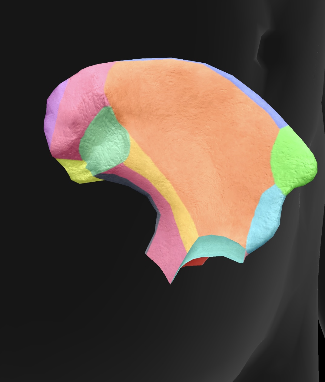 <p>lateral lower projection of the ilium, providing attachment for the rectus femoris muscle and supporting the hip joint. </p>