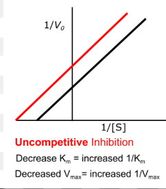 <ul><li><p>both vmax and km is decreased</p></li><li><p>binds to enzyme-substrate complex</p></li></ul><p></p>