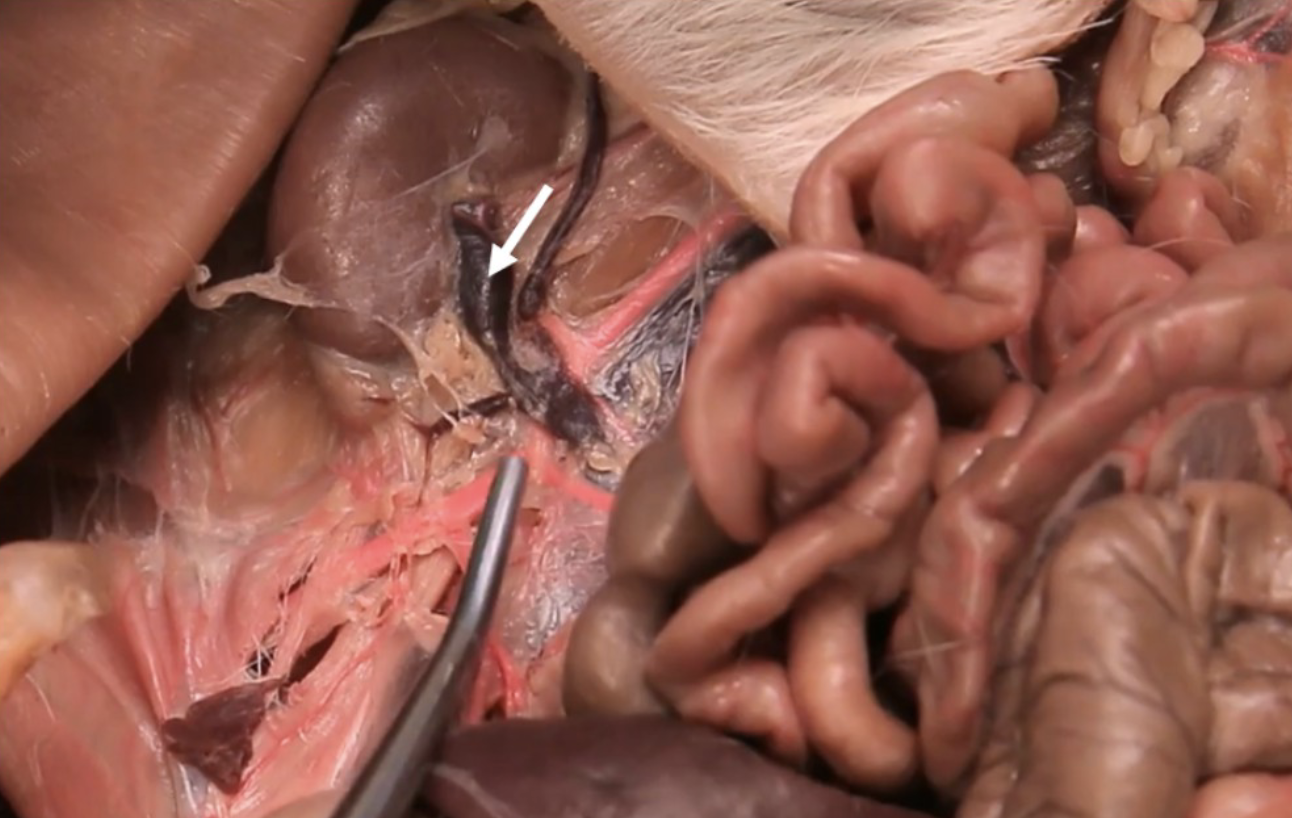 <p>What is this?</p>