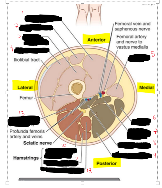 <p>Name the Structures.</p>