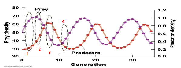 <p>What does the graph represent?</p>