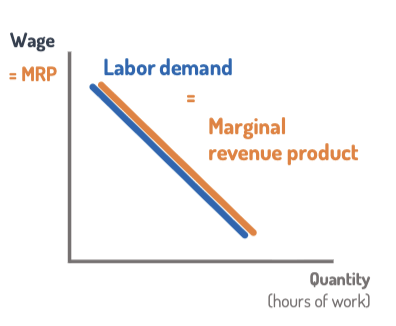<ul><li><p><strong>Downward sloping</strong>: higher wages → fewer workers hired.</p></li><li><p><strong>Same as MRPL curve</strong> (extra revenue per worker).</p></li></ul><p></p>
