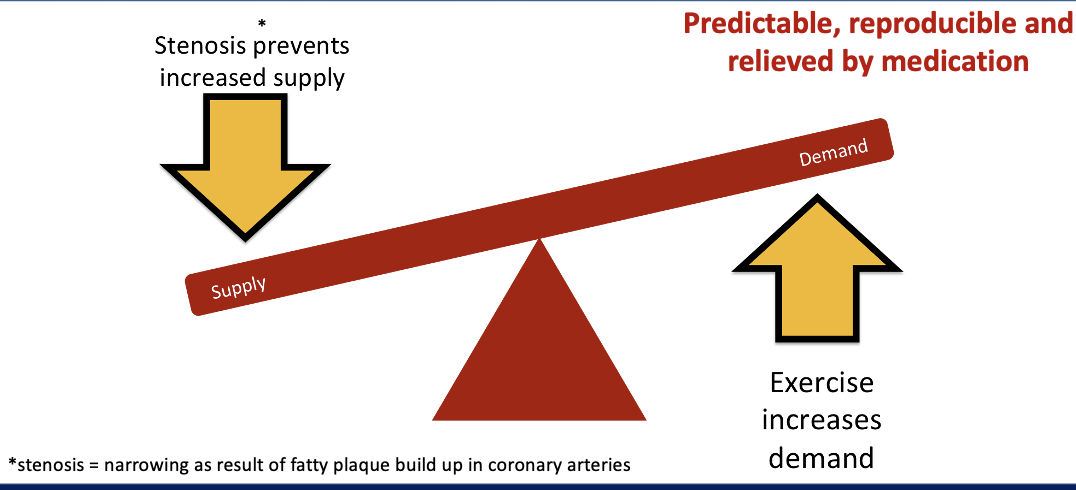 <p></p><ul><li><p>only really a problem when in high demand for oxygen, but supply is really low </p></li><li><p>can occur during intense exercise and stress</p></li><li><p>stenosis → narrowing as a result of fatty plaque build up in coronary arteries&nbsp;</p></li><li><p>stenosis prevents increased supply</p></li></ul><p></p>