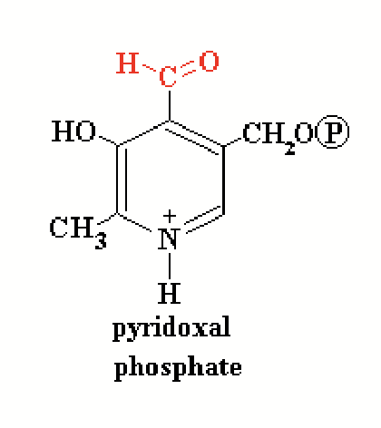 <p>An electrophile is an <strong>electron-seeking group</strong>; there are no really good electrophilic amino acids.</p><p>An enzyme may contain a non-amino acid helper molecule called a <strong>prosthetic group</strong> as part of its structure (cofactors/coenzymes). They bind at the enzyme catalytic site and <strong>initiate reaction by withdrawing electrons from the substrate</strong>.</p>