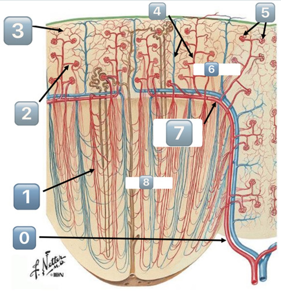 <p>2</p>