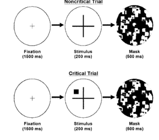 <ul><li><p>5000 participants performed a perceptual task in which they judged whether a horizontal or vertical bar of a cross was longer</p></li><li><p>After a number of trials, there would be a surprise trial in which an additional stimulus such as a rectangle would appear on the screen alongside the cross</p></li></ul>