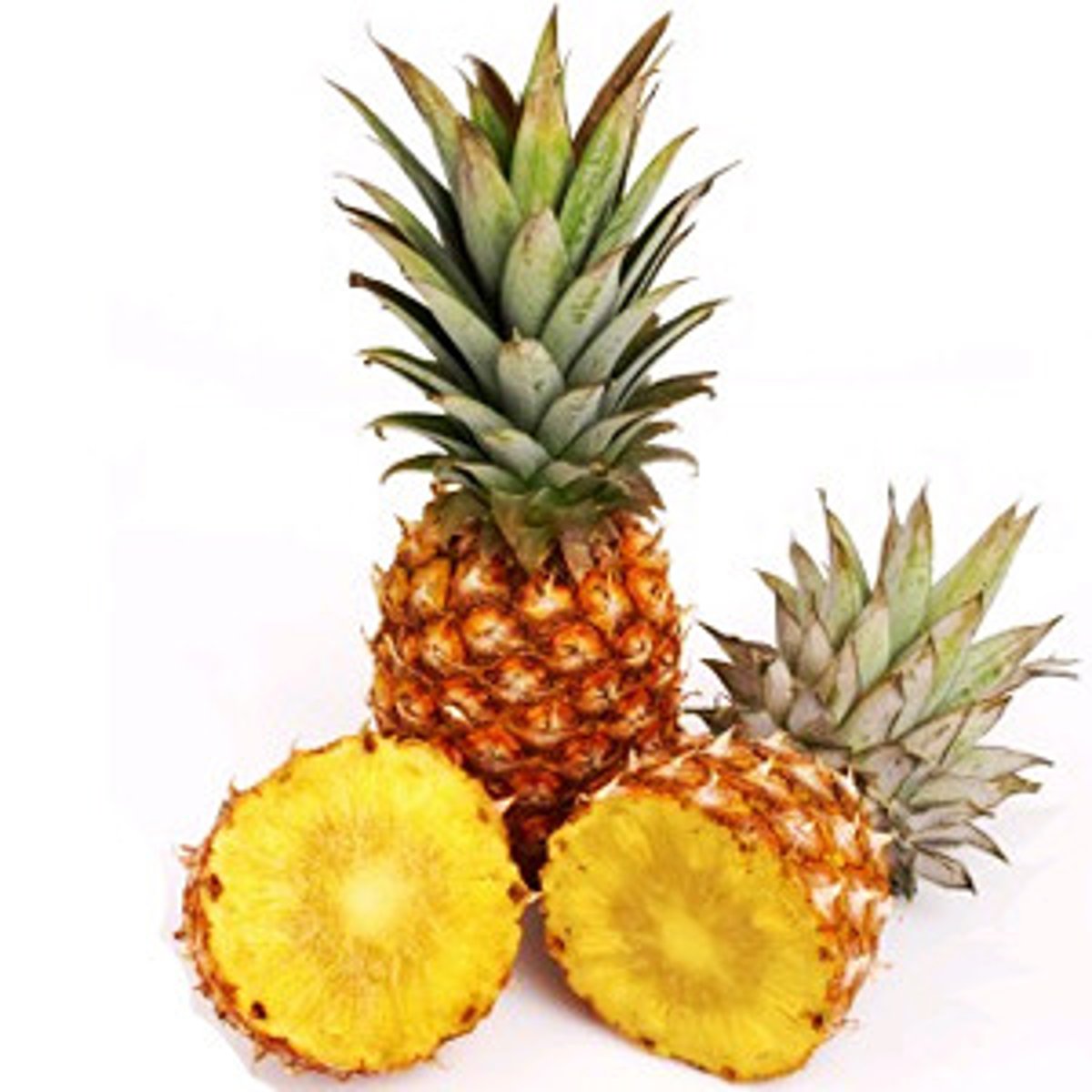 <p>bōluó pineapple</p>