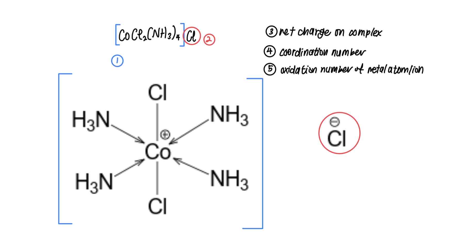 <p>[COMPLEX IONS]</p><p>Label the parts of the chemical formula of a complex ion.</p>