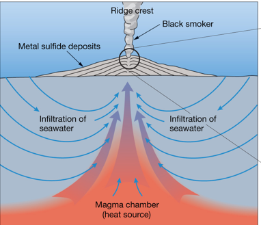 <p>Heated subsurface seawater migrates through cracks in ocean crust (places on the seafloor where very hot water comes out from cracks in the ocean crust.)</p><p style="text-align: left;">Warm-water vents < 30<sup>o</sup>C or 86<sup>o</sup>F</p><p style="text-align: left;">White smokers > 30<sup>o</sup>C  < 350<sup>o</sup>C or 662<sup>o</sup>F</p><p>Black smokers > 350<sup>o</sup></p><p></p><p>Dissolved metals precipitate to form metal sulfide deposits (Hot vent water contains metals dissolved; when that hot water meets cold seawater the metals stop staying dissolved and turn into solid particles. These solids build up around the vent as dark chimney‑shaped piles and mineral layers called metal sulfide deposits)</p><p>Unusual biological communities</p><p>•Able to survive without sunlight</p><p>•Archaea and bacteria oxidize hydrogen sulfide gas to provide food</p><p></p><p>Precipitate: dissolved substance becomes a solid</p>