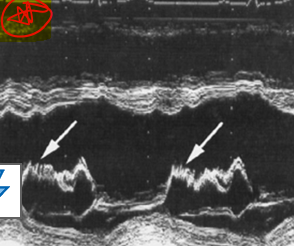 <p><strong>what is this?</strong></p>