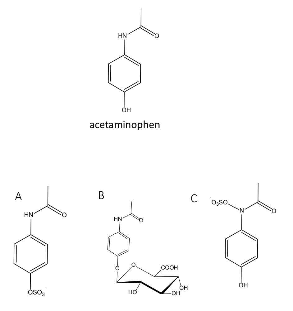 <p><strong>In <u>infants</u>, the major urinary metabolite of the analgesic acetaminophen is:</strong></p>