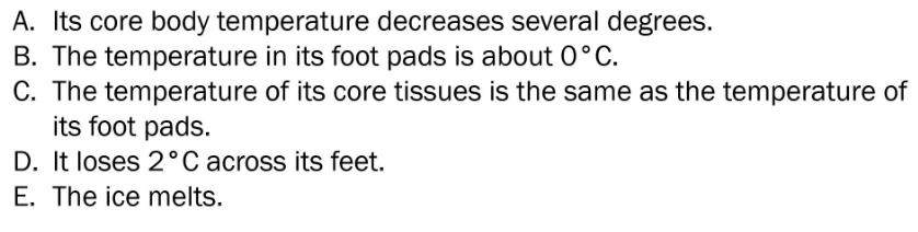 <p>When an Arctic Fox walks across ice:</p>