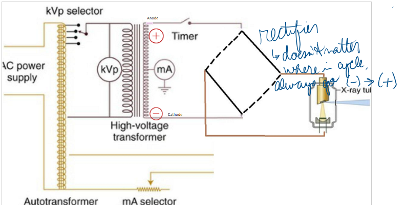 <p>a. negative cathode </p>