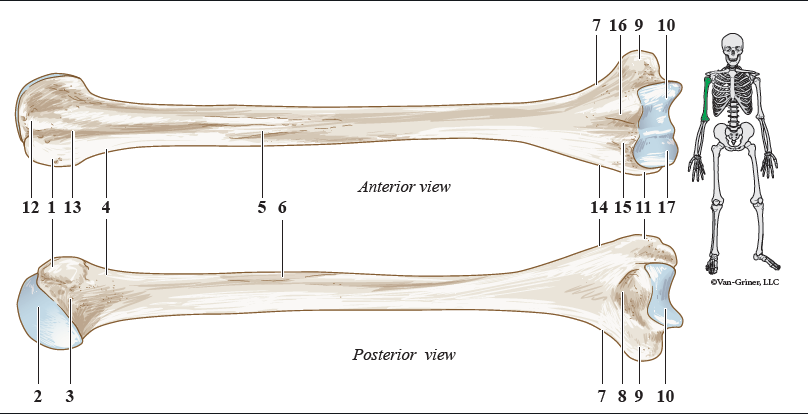 <p>what is number six</p>