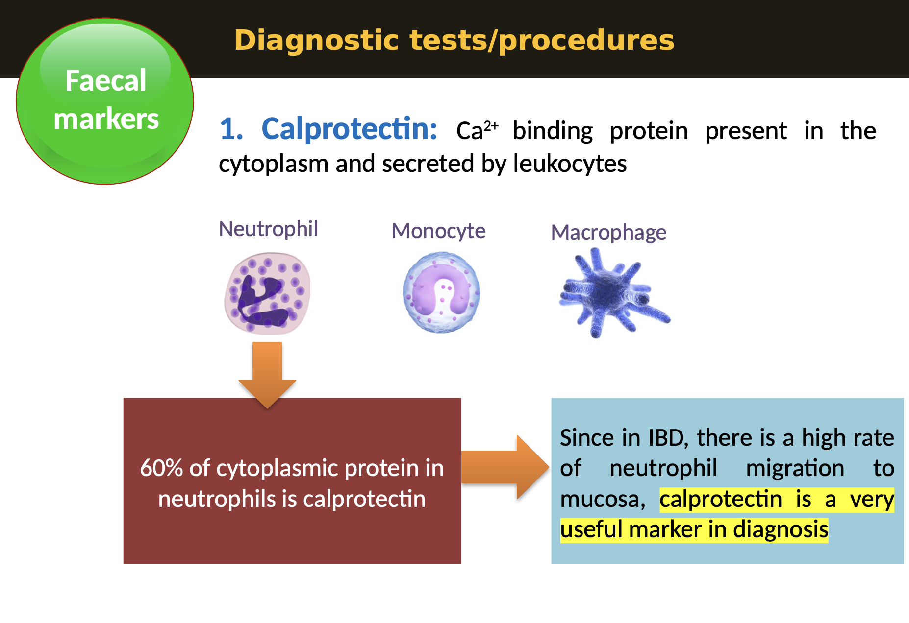 <p>Calprotectin is a protein found in stool that indicates intestinal inflammation and is used as a diagnostic marker. </p><p><strong>Faecal markers - </strong>Calprotectin is useful for differentiating IBD from other gastrointestinal issues.</p><ul><li><p>Calprotectin: Ca2+ binding protein present in the cytoplasm and secreted by leukocytes</p></li></ul><p></p>