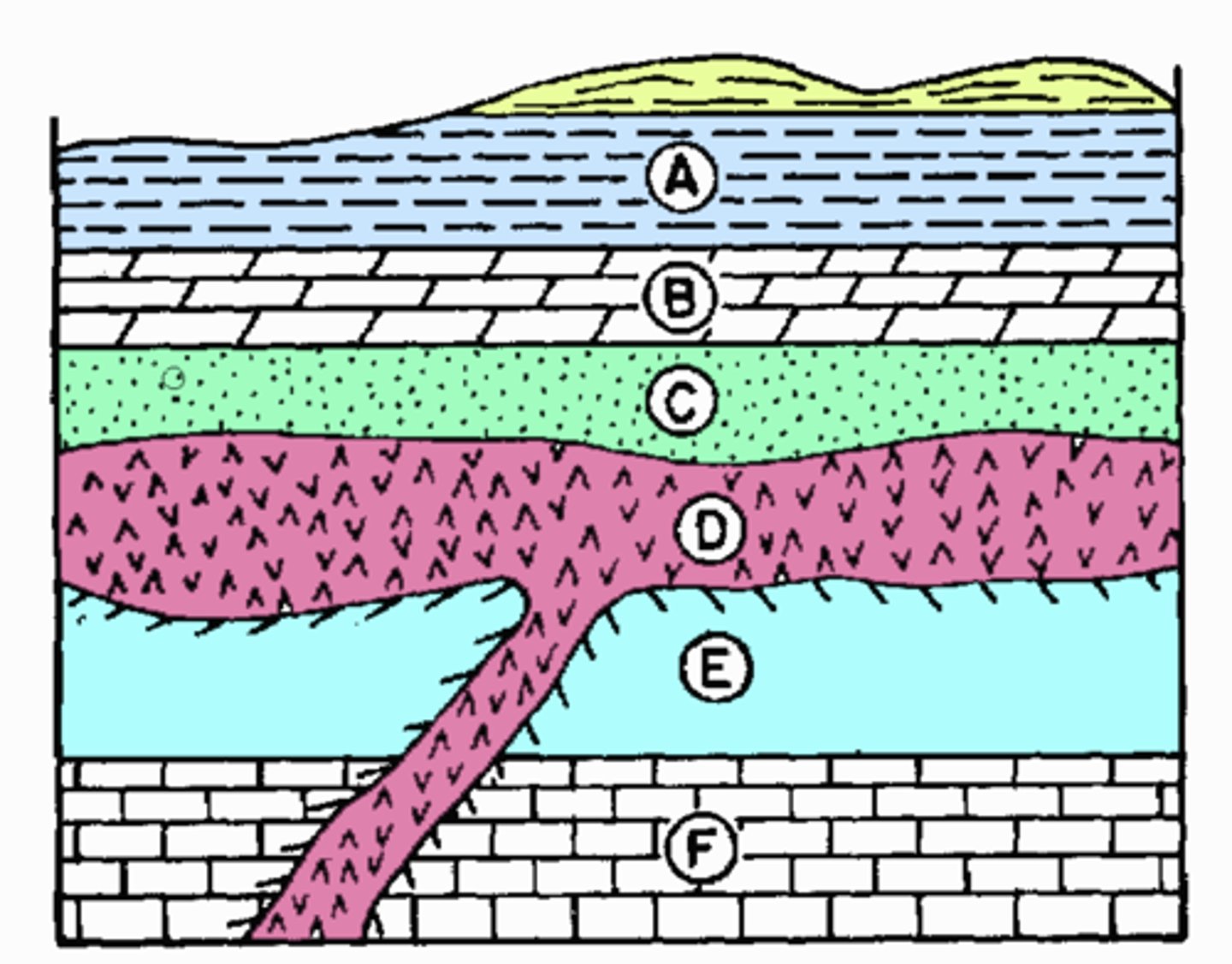 <p>Which answer has the strata in the correct order from oldest to youngest?</p><p>a. A,B,C,C,E, F b. A,B,C,E, D, F</p><p>c. F,E,C,D,B,A d. F,E,D,C,B,A</p>