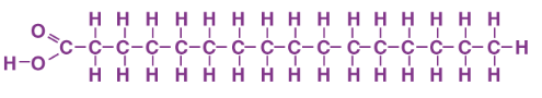 <p>single bonds between carbons in the carbon chain=more hydrogen</p><p>think saturated with hydrogen</p>