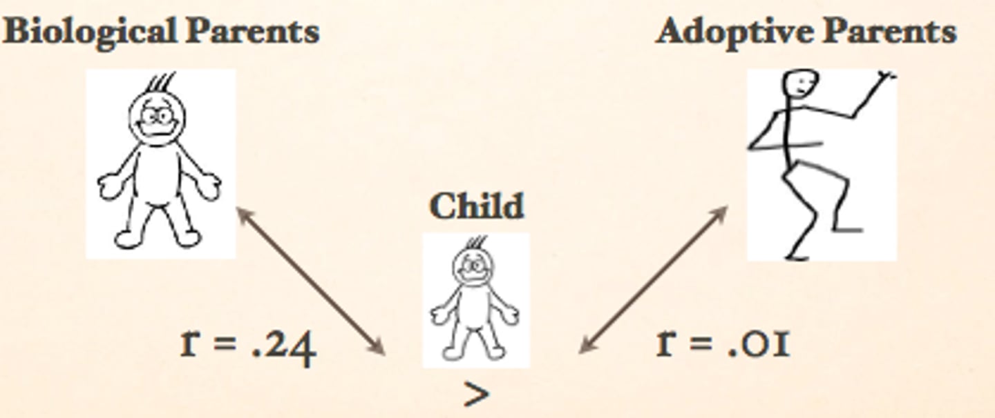 <p>assessing hereditary influence by examining the resemblance between adopted children and both their biological and their adoptive parents</p>