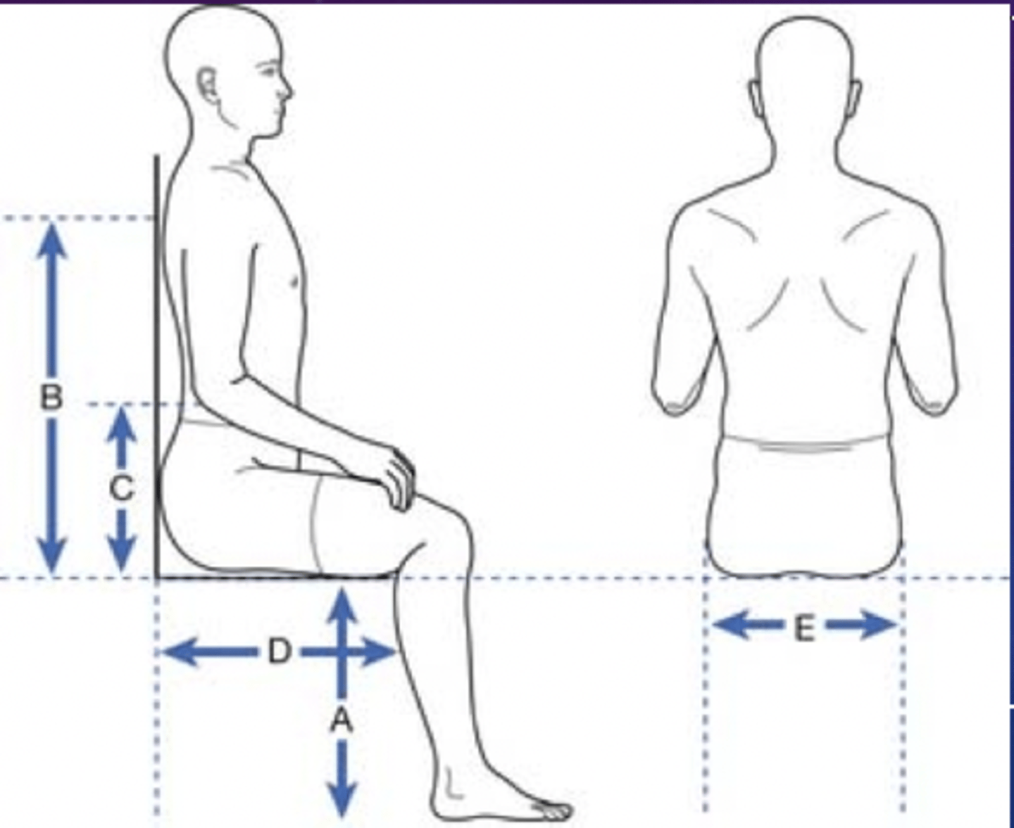 <p>how to measure</p><p>-- posterior buttock along lateral thigh to popliteal fold (minus 2 inches) (along lateral length of femur)</p><p>average measure</p><p>-- 16 inches</p>