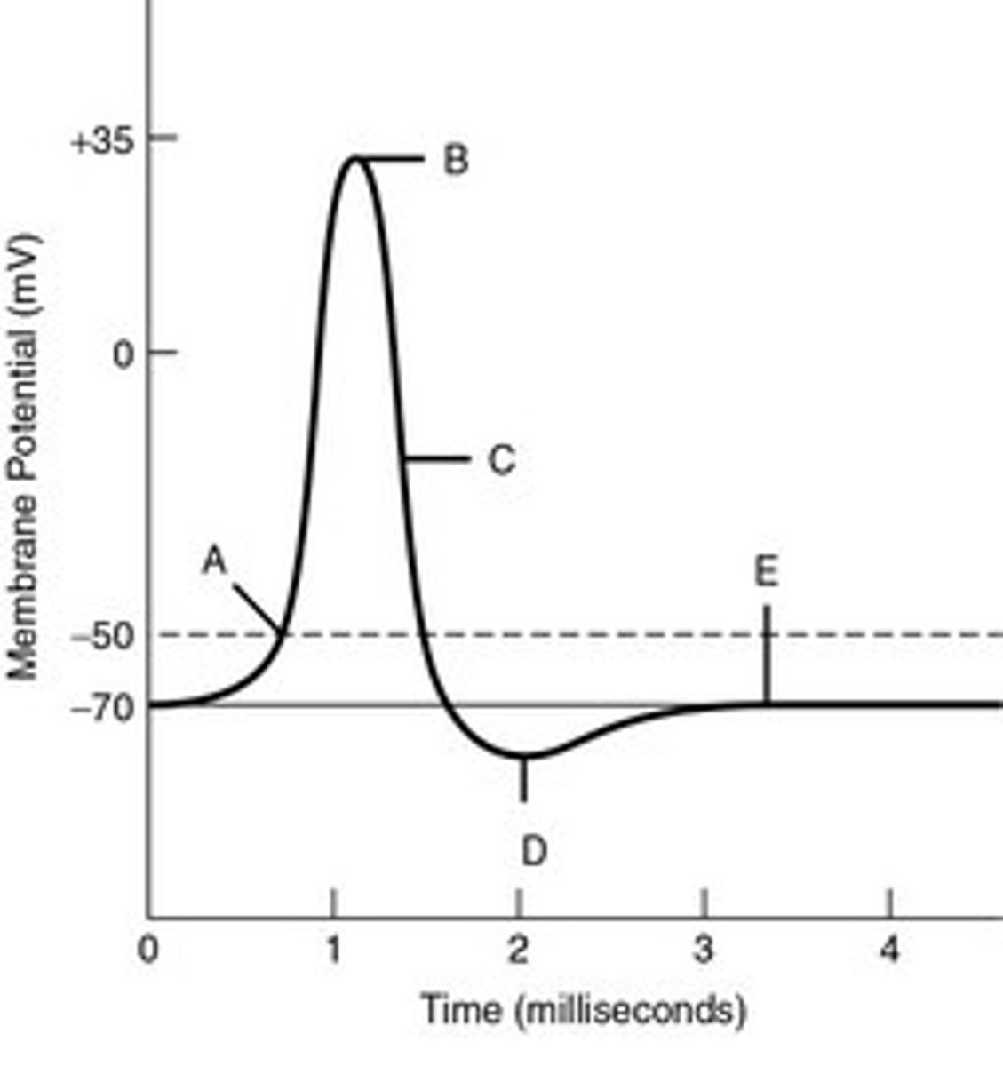 <p>The minimum membrane potential that must be reached in order for an action potential to be generated in a neuron (A)</p>