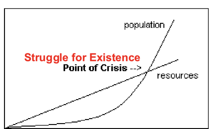<p>Essay on Population Growth</p>