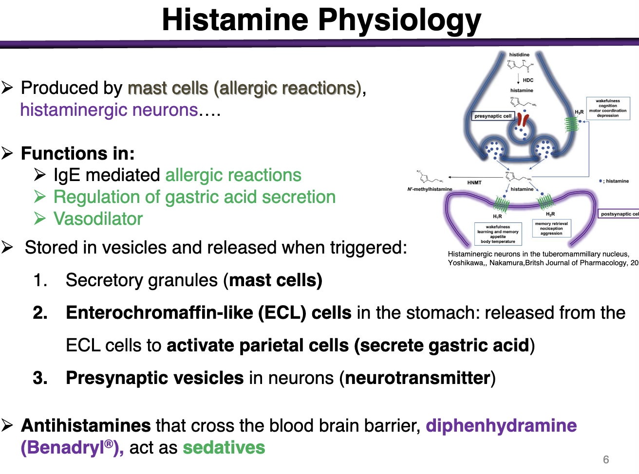 <p>Produced by mast cells via allergic reactions or histaminergic neurons </p>