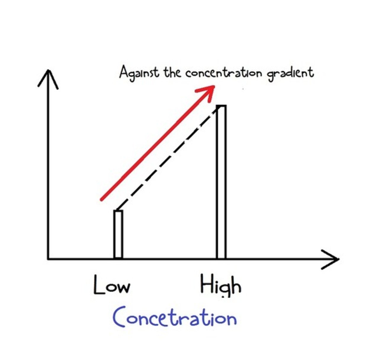 <p>The movement of substances from a lower concentration to a higher concentration</p>
