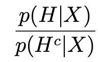 term image