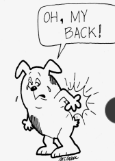 <p>Diagnosis of AIRF</p>