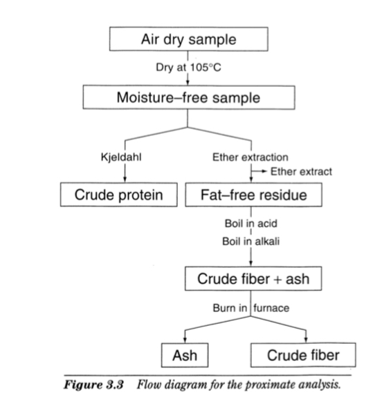 <p>Air dry sample -dry at 105C for 24 hours→ moisture free sample → crude protein → fat free residue → crude fiber + ash</p>