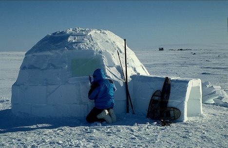 <p>Eskimo house made of snow or ice</p>