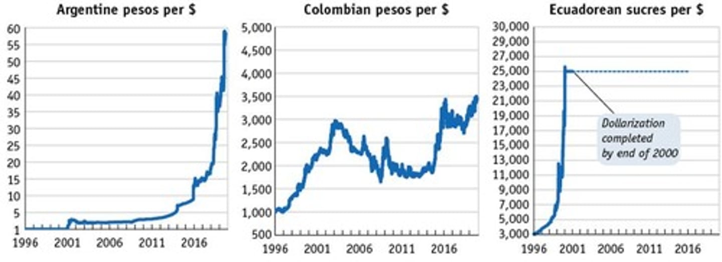 <p>The process when a country unilaterally adopts the currency of another country, as occurred in Ecuador in 2000.</p>