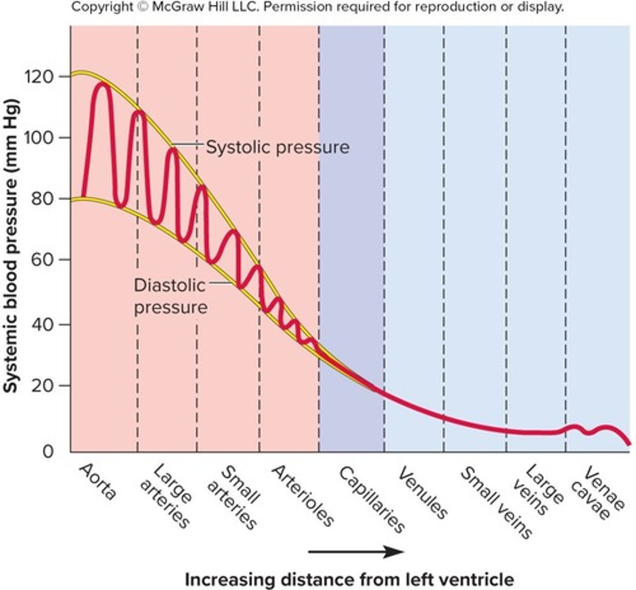 <p>-Blood is at very low pressure.</p><p>-Blood is very far from the pumping effect of the heart.</p>