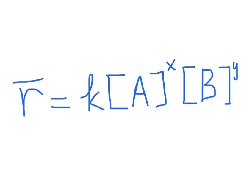 <p>x and y = individual rxn orders</p><ul><li><p>if = 1, don’t write out 1</p></li></ul>