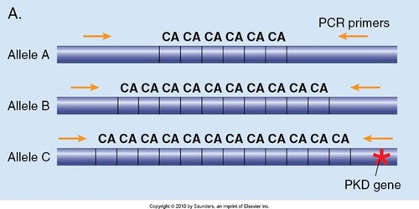 <p>n > 100 bp long</p>