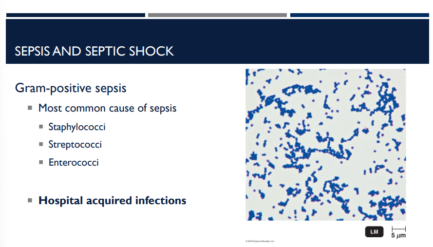 <p>The most common cause of sepsis is (gram-positive/gram-negative) sepsis.</p>