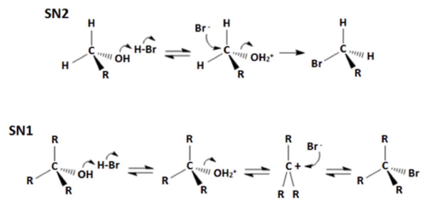 <p>SN1 involves carbocation formation which is the rate-limiting step, nucleophile can attack on either plane of sp2 C, so both enantiomers can form</p><p>SN2 involves backside attack, so inversion of configuration with pentavalent transition state</p><p>SN1 on 2/3 degree carbons only (carbocation stability!), SN2 on 0/1/2 degree carbons only</p><p>SN1 considerations:</p><p>1. doesn't consider nucleophile size/conc. in rate law</p><p>2. polar, protic solvent</p><p>3. 2/3 degree carbons only</p><p>SN2 like polar, aprotic solvents: acetone, DMF, DMSO</p><p>alcohols and ethers undergo substitution only with an acid catalyst or conversion to a better leaving group (something resonance stabilized maybe)</p>