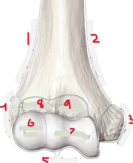 <p>View???</p>