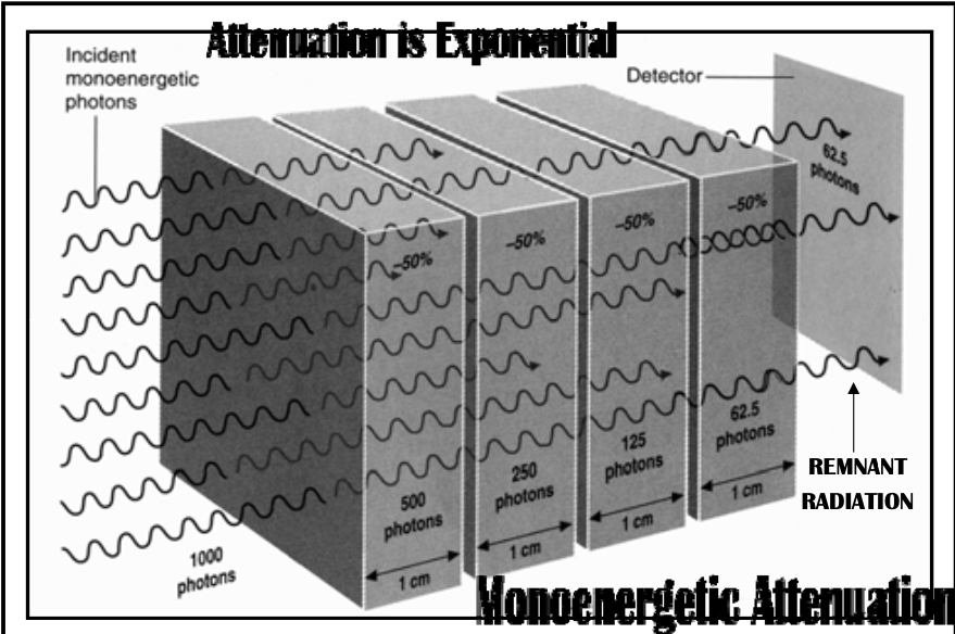 <p>Monoenergetic Attenuation</p><ul><li><p><span><strong>[how does a monoenergetic beam respond to more HVL layers?]</strong></span></p></li></ul><p></p>